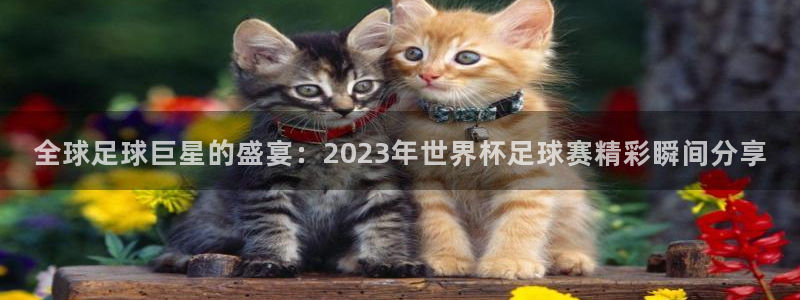 世界杯2026赛程表：全球足球巨星的盛宴：2023年世界杯足球赛精彩瞬间分享