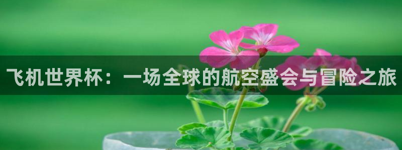 世界杯：飞机世界杯：一场全球的航空盛会与冒险之旅