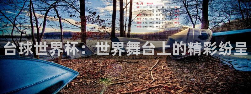 世界杯预选赛：台球世界杯：世界舞台上的精彩纷呈