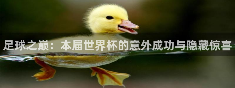 2026世预赛赛程表：足球之巅：本届世界杯的意外成功与隐藏惊喜