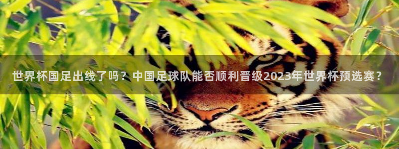 世界杯亚洲区预选赛赛程表：世界杯国足出线了吗？中国足球队能否顺利晋级2023年世界杯预选赛？