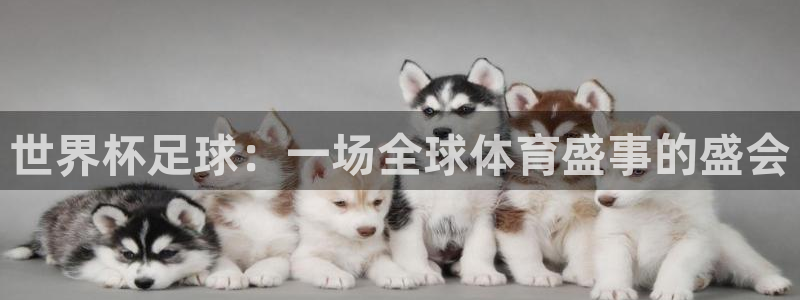 2026世界杯赛程时间表最新：世界杯足球：一场全球体育盛事的盛会