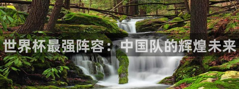 世界杯预选赛欧洲赛区赛程：世界杯最强阵容：中国队的辉煌未来