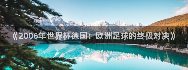 2026世界杯：《2006年世界杯德国：欧洲足球的终极对决》
