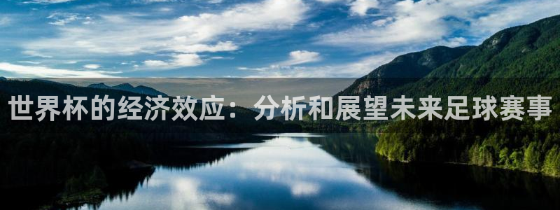 世界杯2026预选赛：世界杯的经济效应：分析和展望未来足球赛事