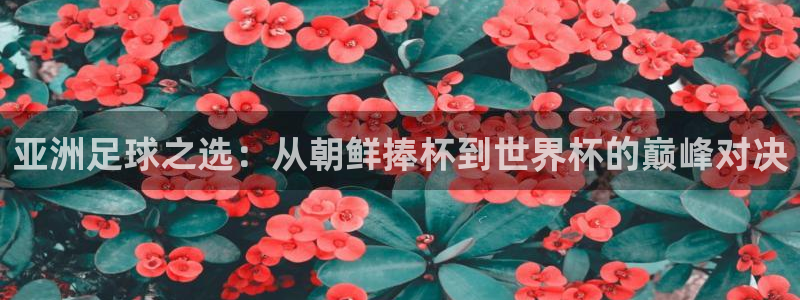 世界杯预选赛：亚洲足球之选：从朝鲜捧杯到世界杯的巅峰对决
