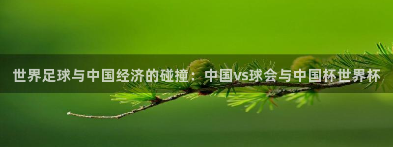 26世界杯：世界足球与中国经济的碰撞：中国vs球会与中国杯世界杯