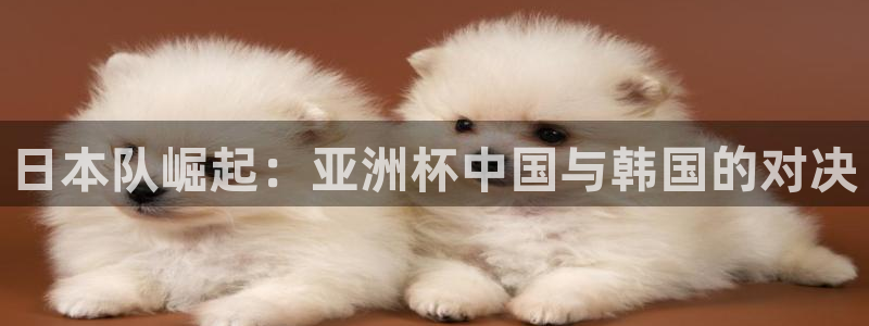 2026世界杯赛程：日本队崛起：亚洲杯中国与韩国的对决