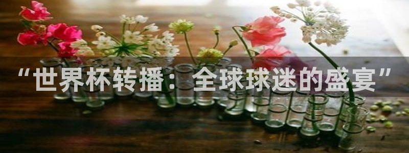 世界杯比赛:“世界杯转播:全球球迷的盛宴”