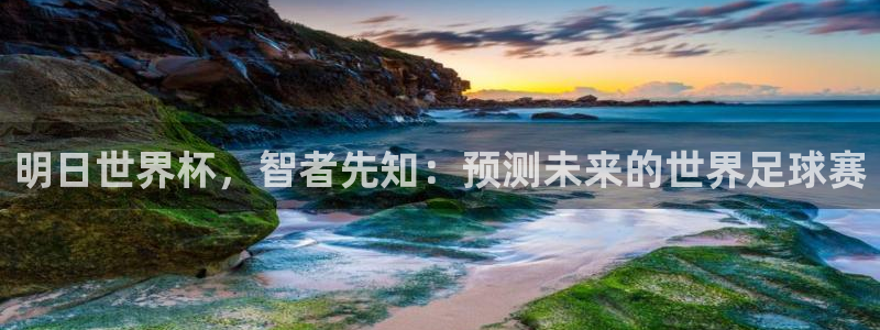 26世界杯:明日世界杯,智者先知:预测未来的世界足球赛